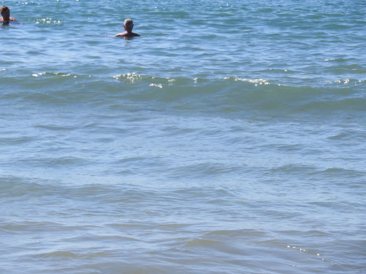 imagini hotel PALOMA OCEANA